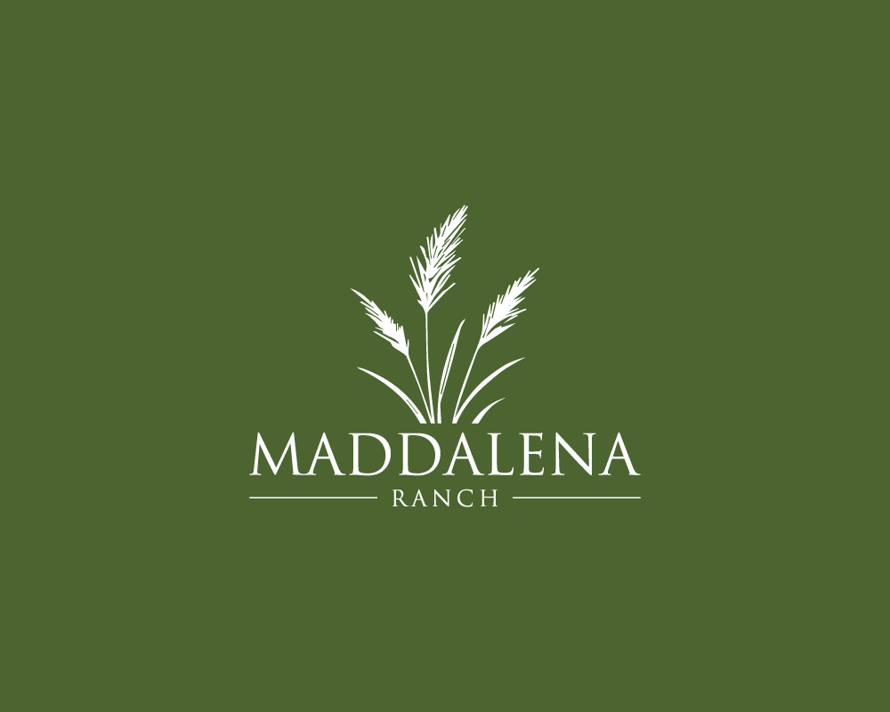 Logo Design by luxydesign for this project | Design #36448634