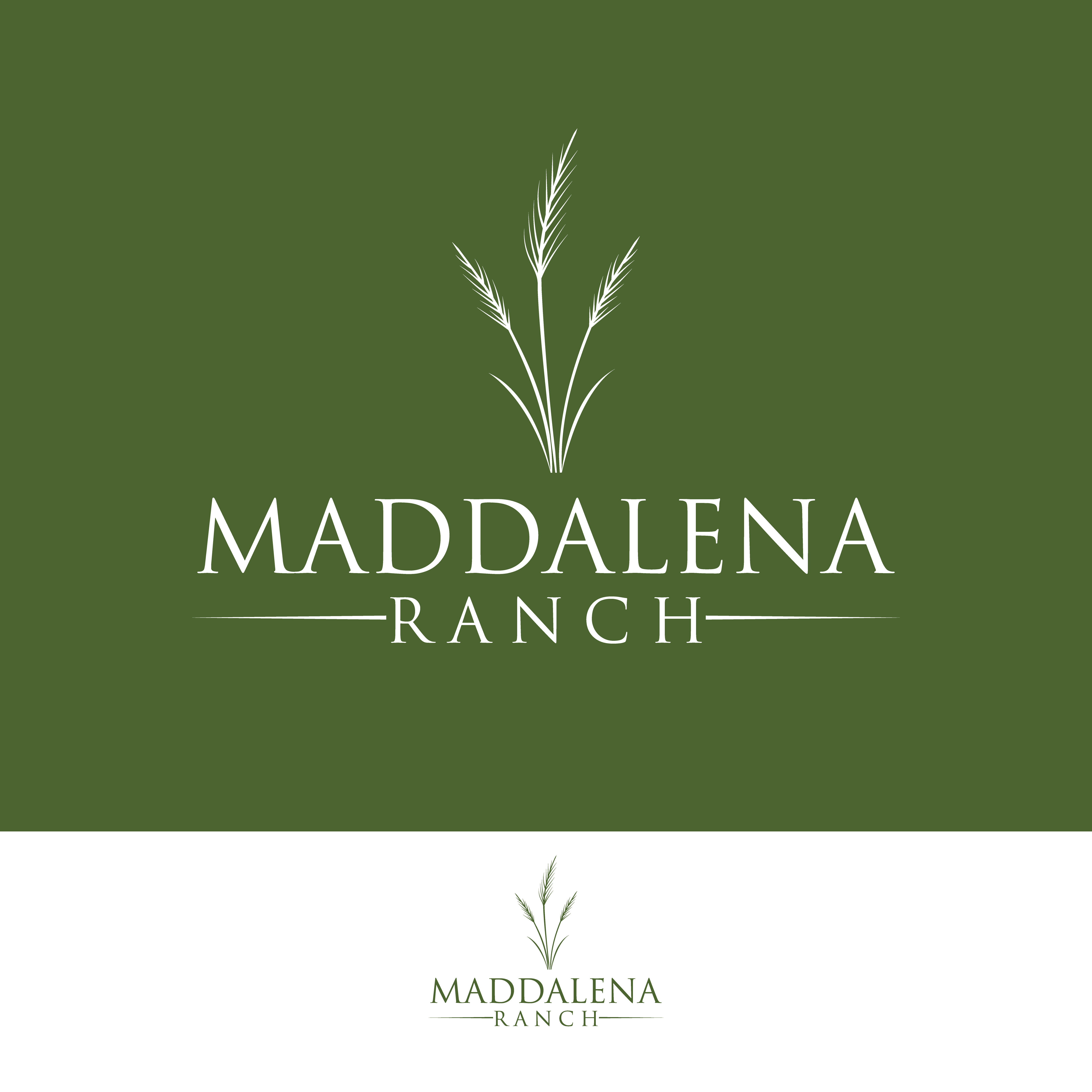 Logo Design by ainee4 for this project | Design #36454831