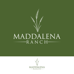 Logo Design by ainee4 for this project | Design #36454831