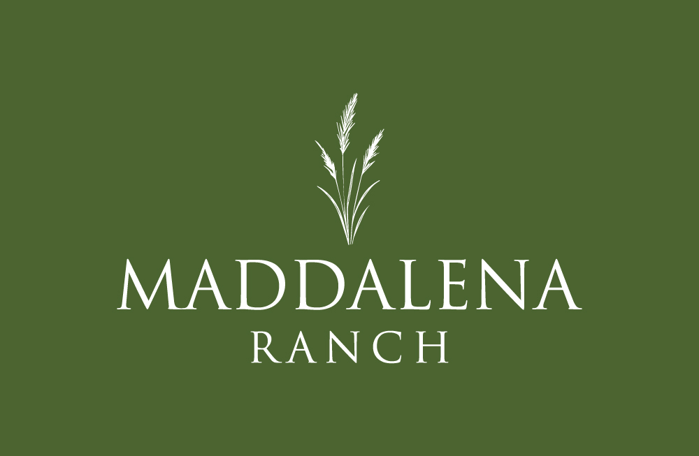 Logo Design by GTO  design for this project | Design #36453881