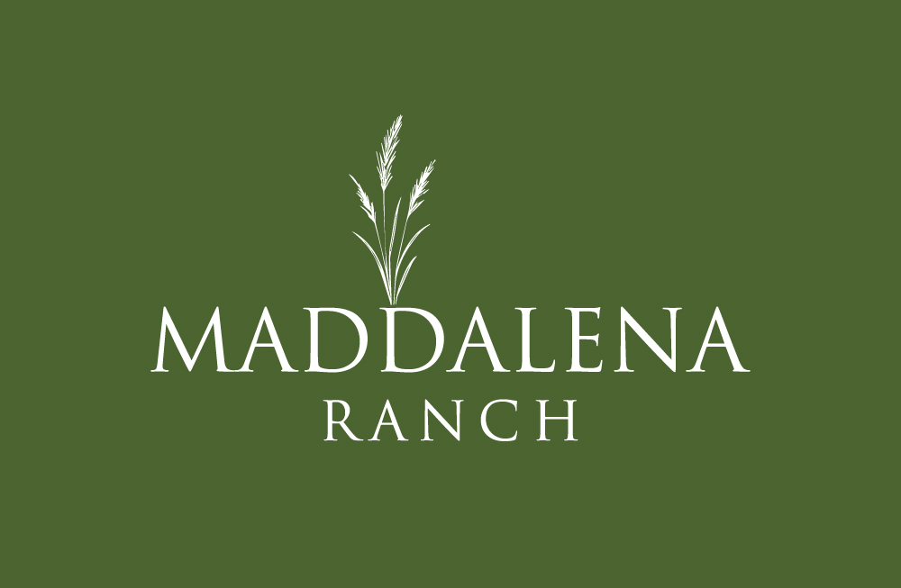 Logo Design by GTO  design for this project | Design #36453882