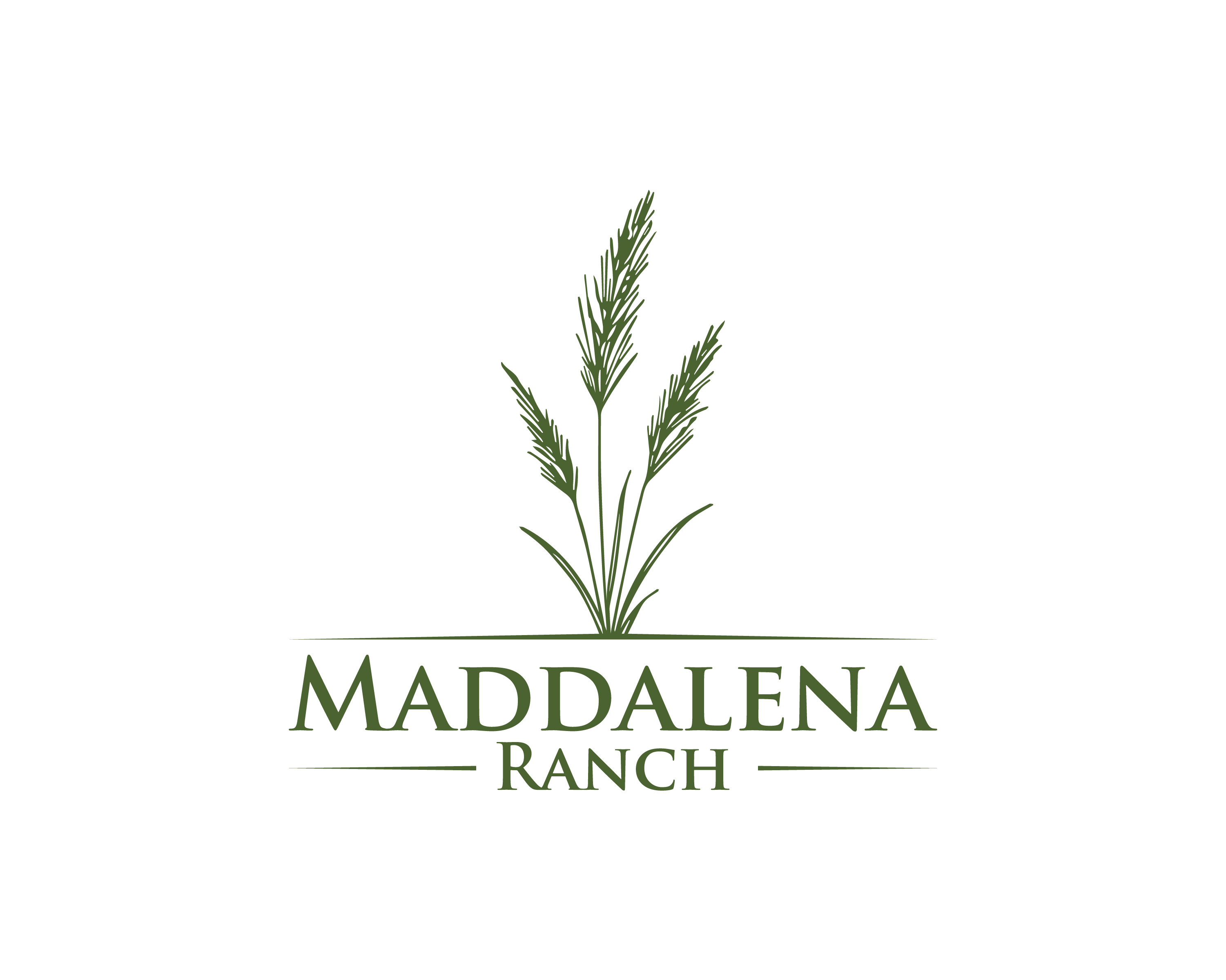 Diseño de Logo por Zbiz para este proyecto | Diseño #36453035