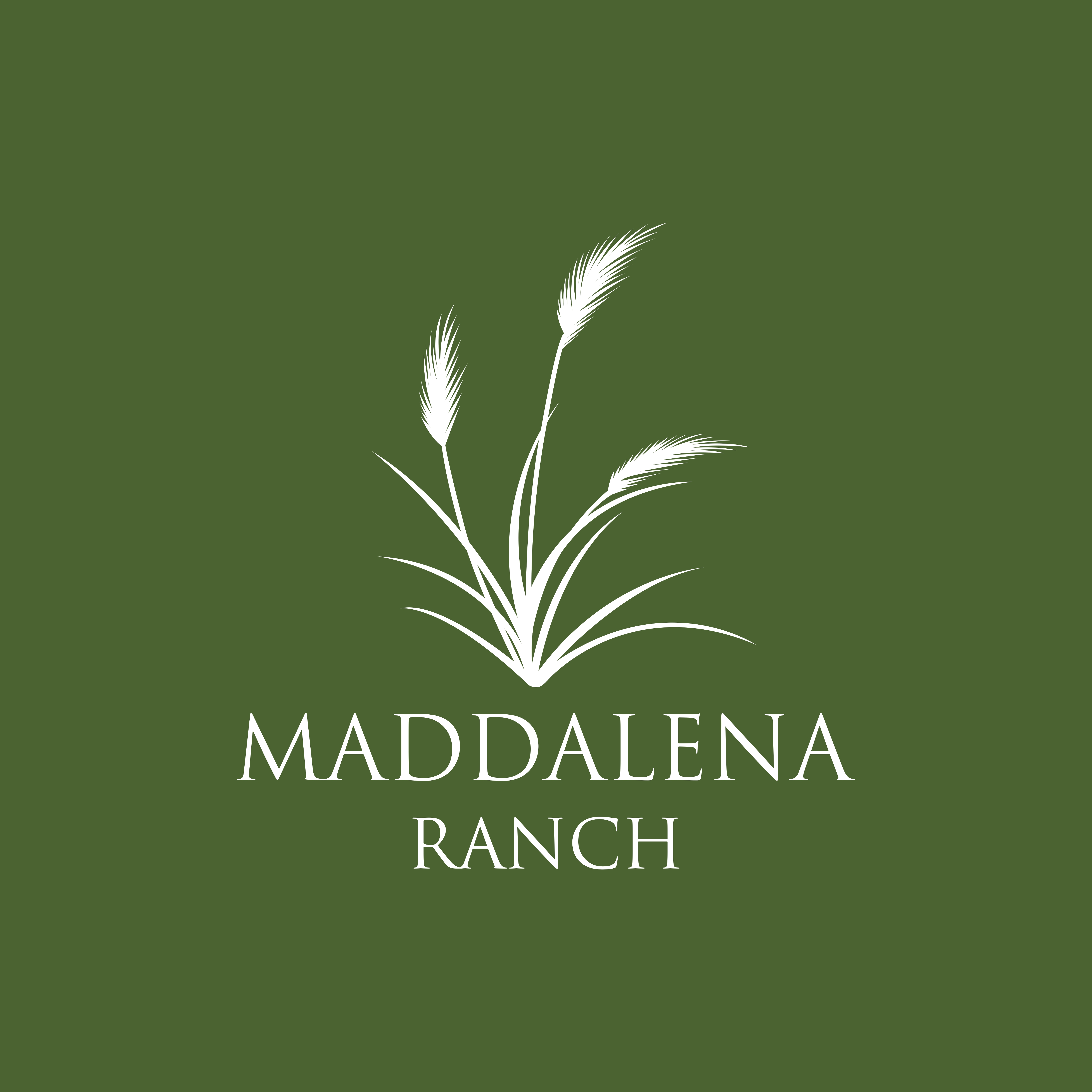 Logo Design by ceilaoboii for this project | Design #36455658