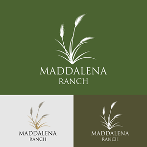 Logo Design by ceilaoboii for this project | Design: #36455660