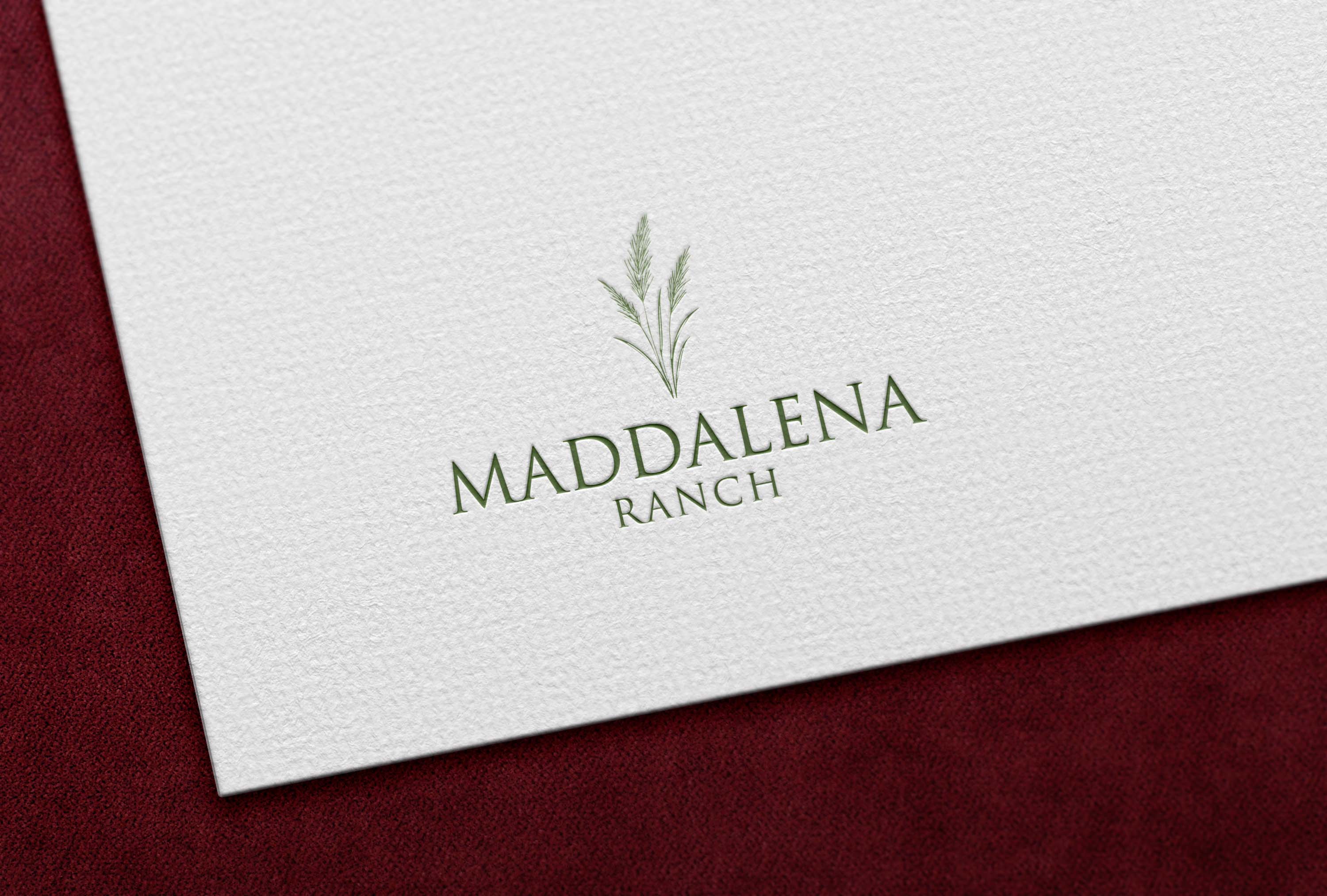 Logo Design by designs zone for this project | Design #36455587