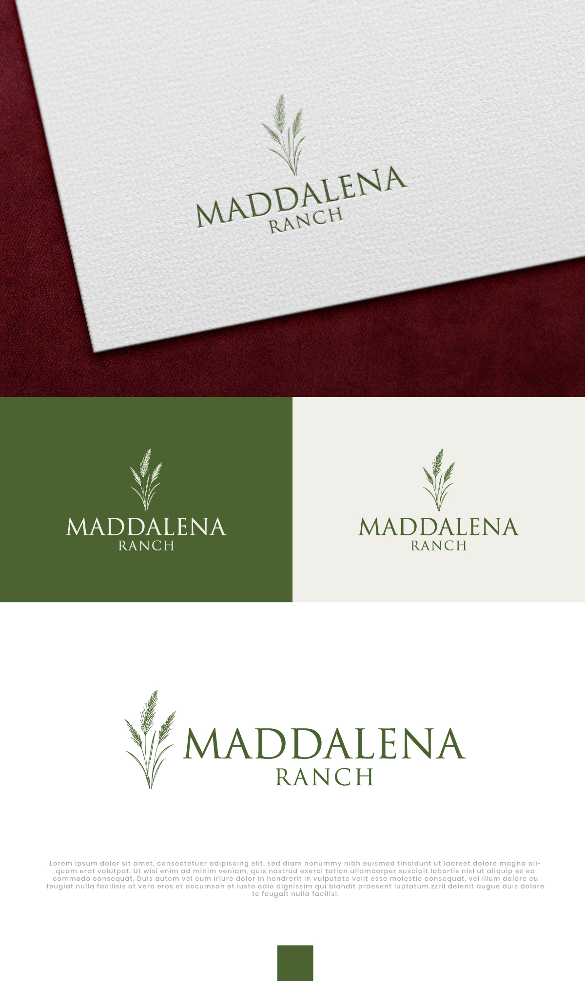 Logo Design by designs zone for this project | Design #36455589