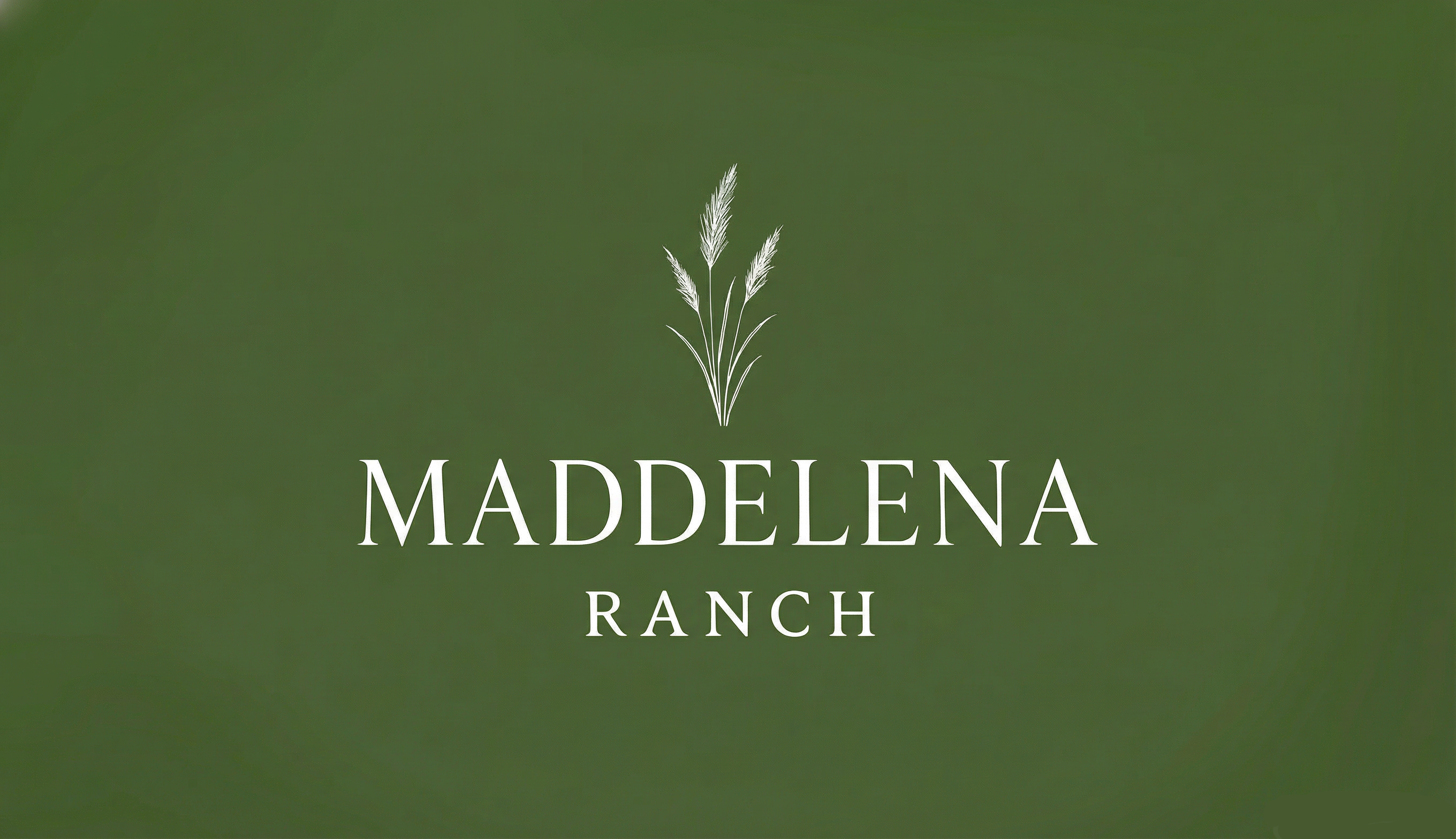 Logo Design by designs by Dylan for this project | Design #36460437