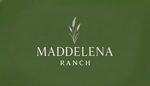 Logo Design by designs by Dylan for this project | Design: #36460437