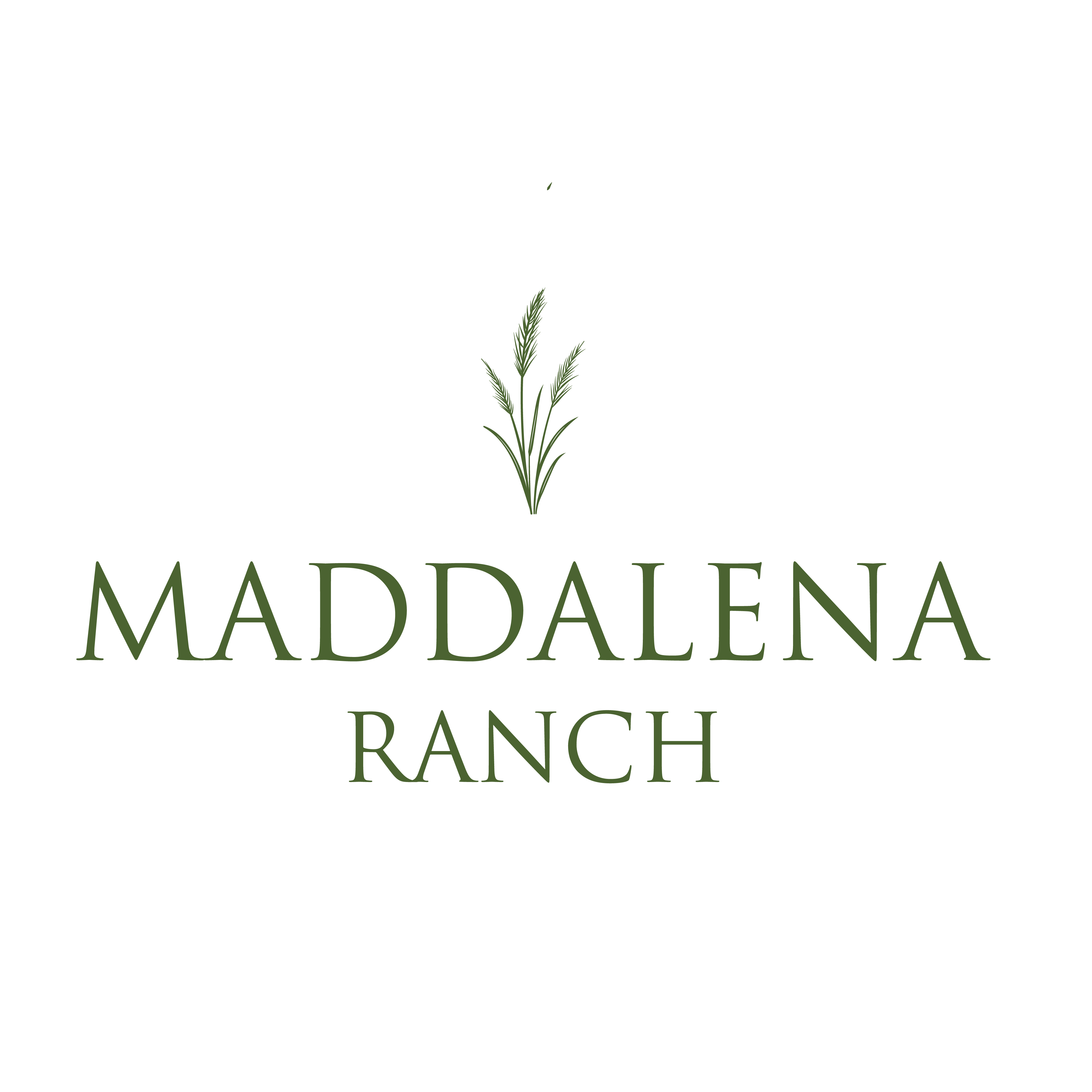 Logo Design by razertron for this project | Design #36485888