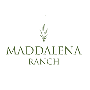 Logo Design by razertron for this project | Design: #36485888