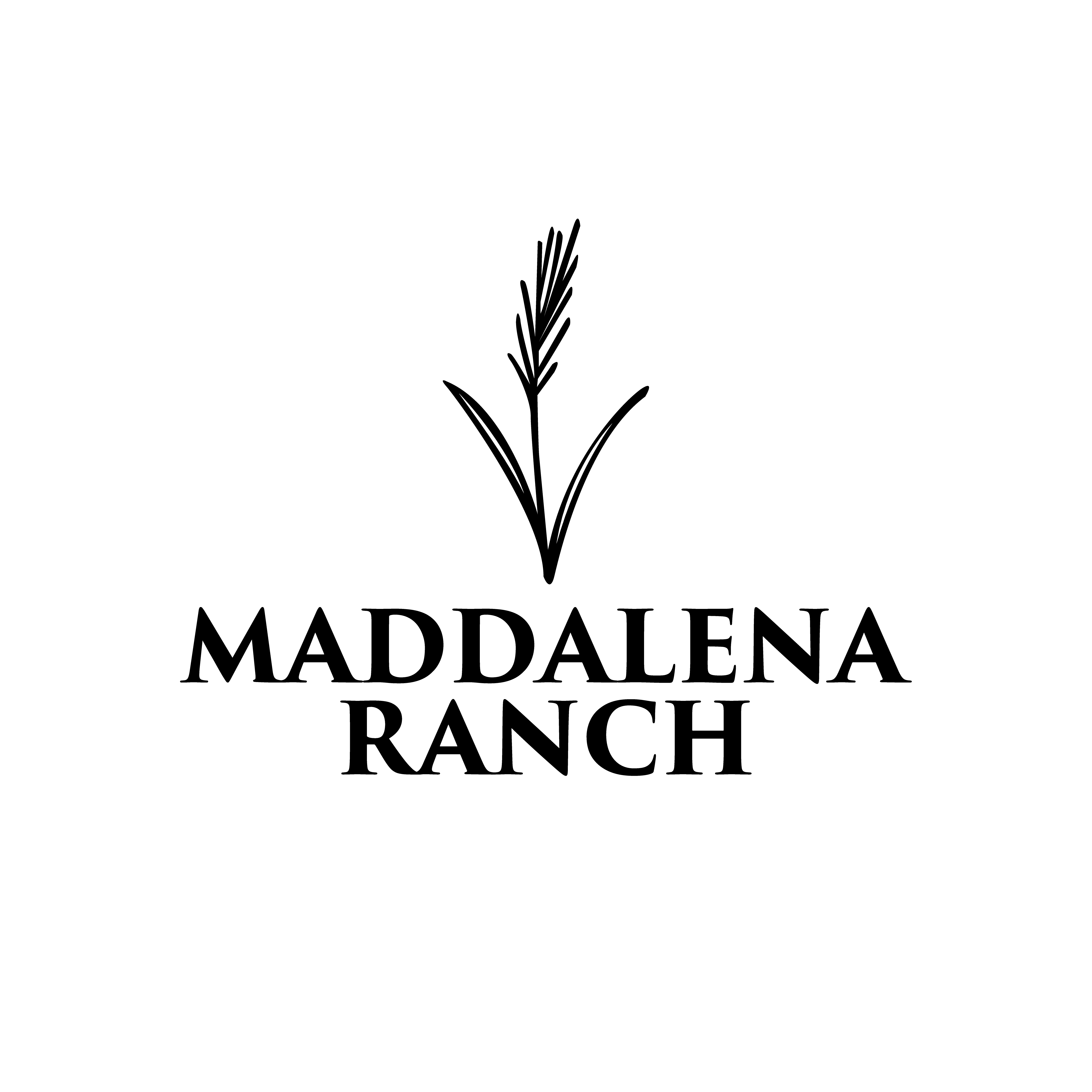 Logo Design by bartolomeus for this project | Design #36458623