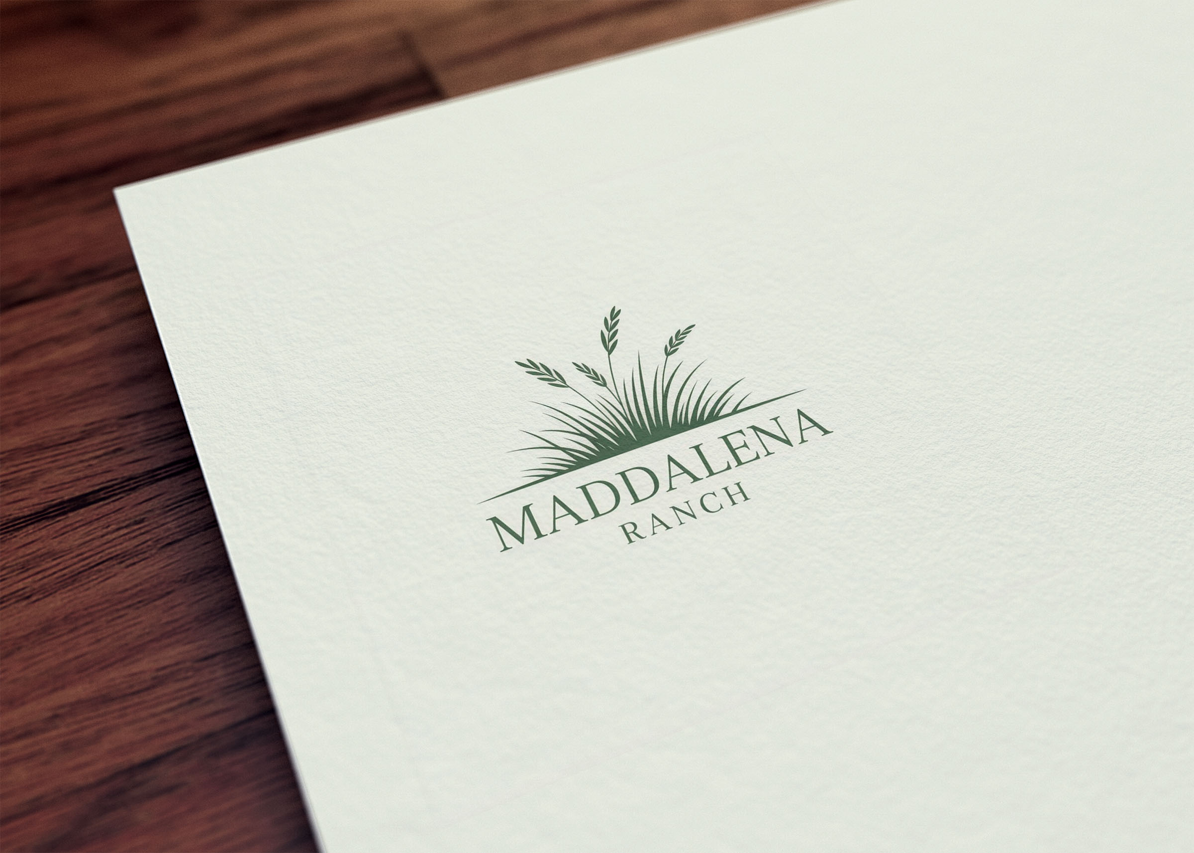 Diseño de Logo por GraphiqueLab para este proyecto | Diseño #36452214