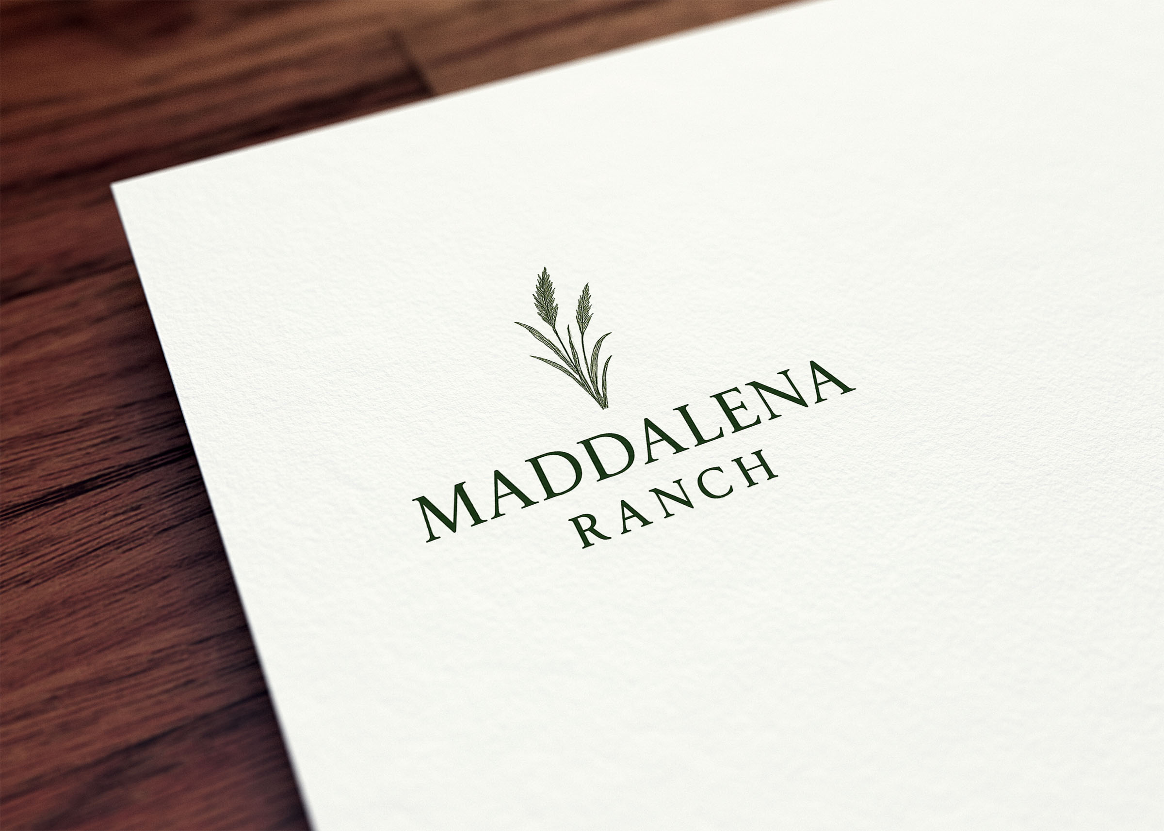 Logo Design by GraphiqueLab for this project | Design #36452241