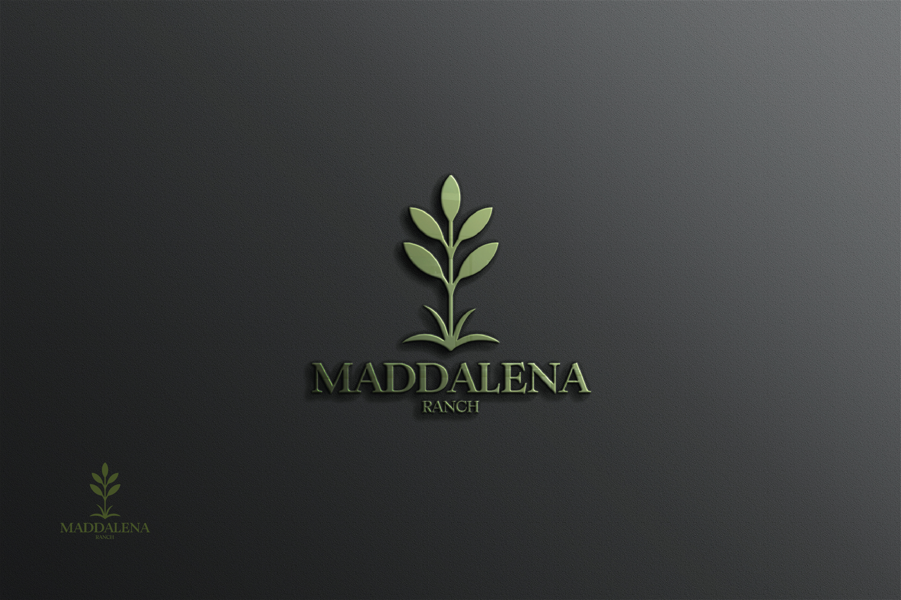 Logo Design by raju.creative for this project | Design #36457897