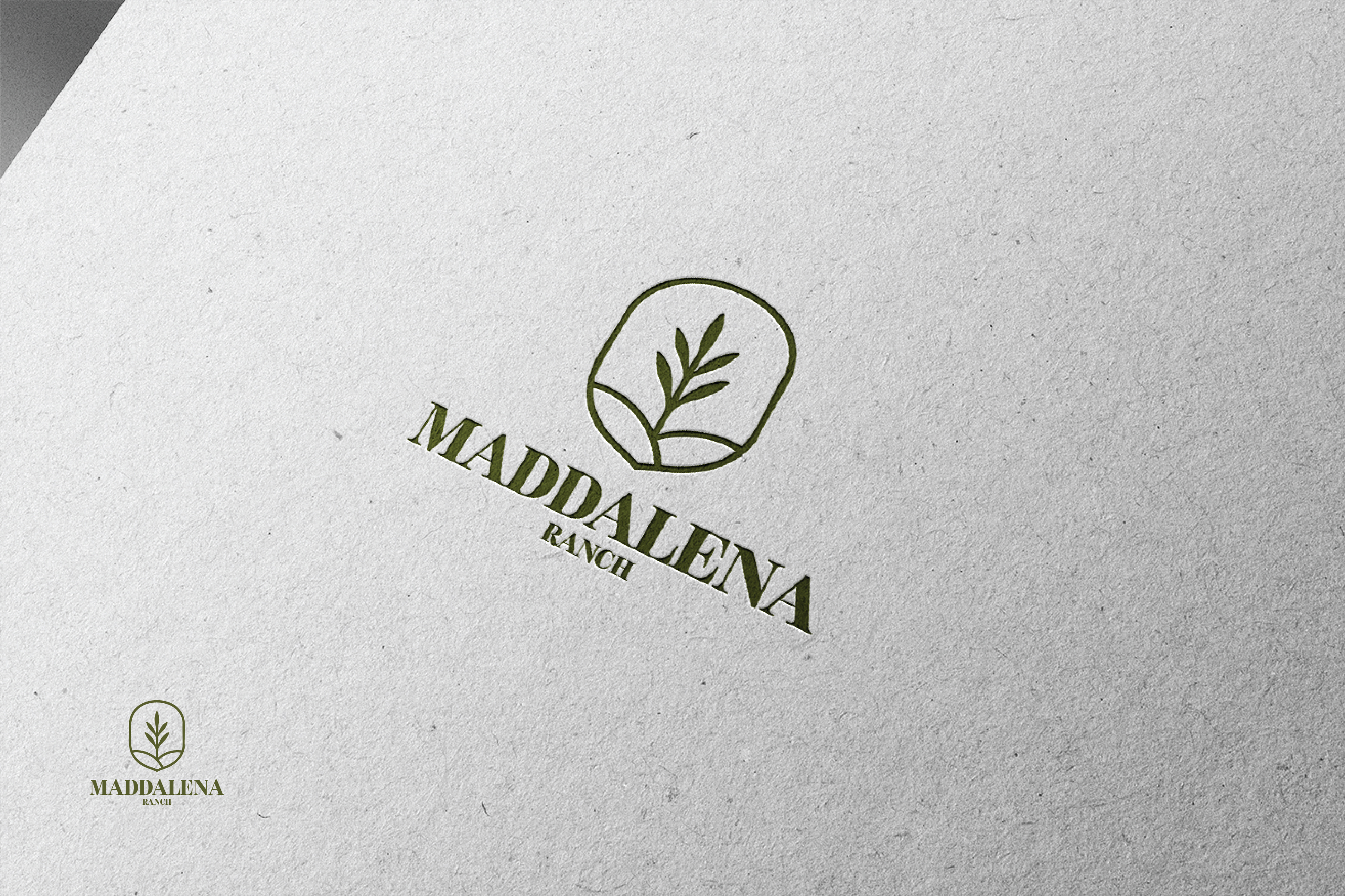 Logo Design by raju.creative for this project | Design #36457900