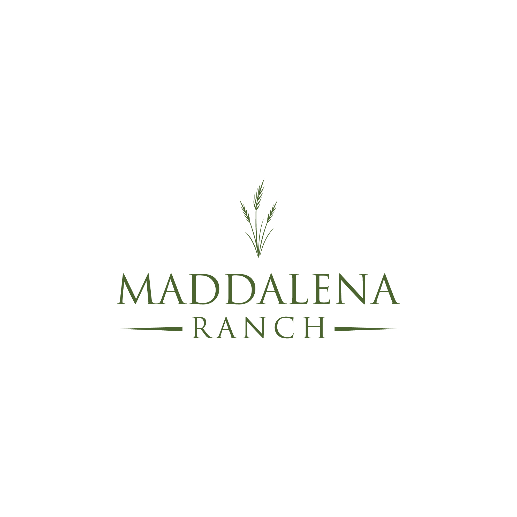 Diseño de Logo por KalamCreation1 para este proyecto | Diseño #36457488