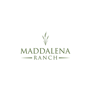 Logo Design by KalamCreation1