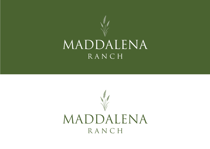 Logo Design by Amduat Design for this project | Design #36451373