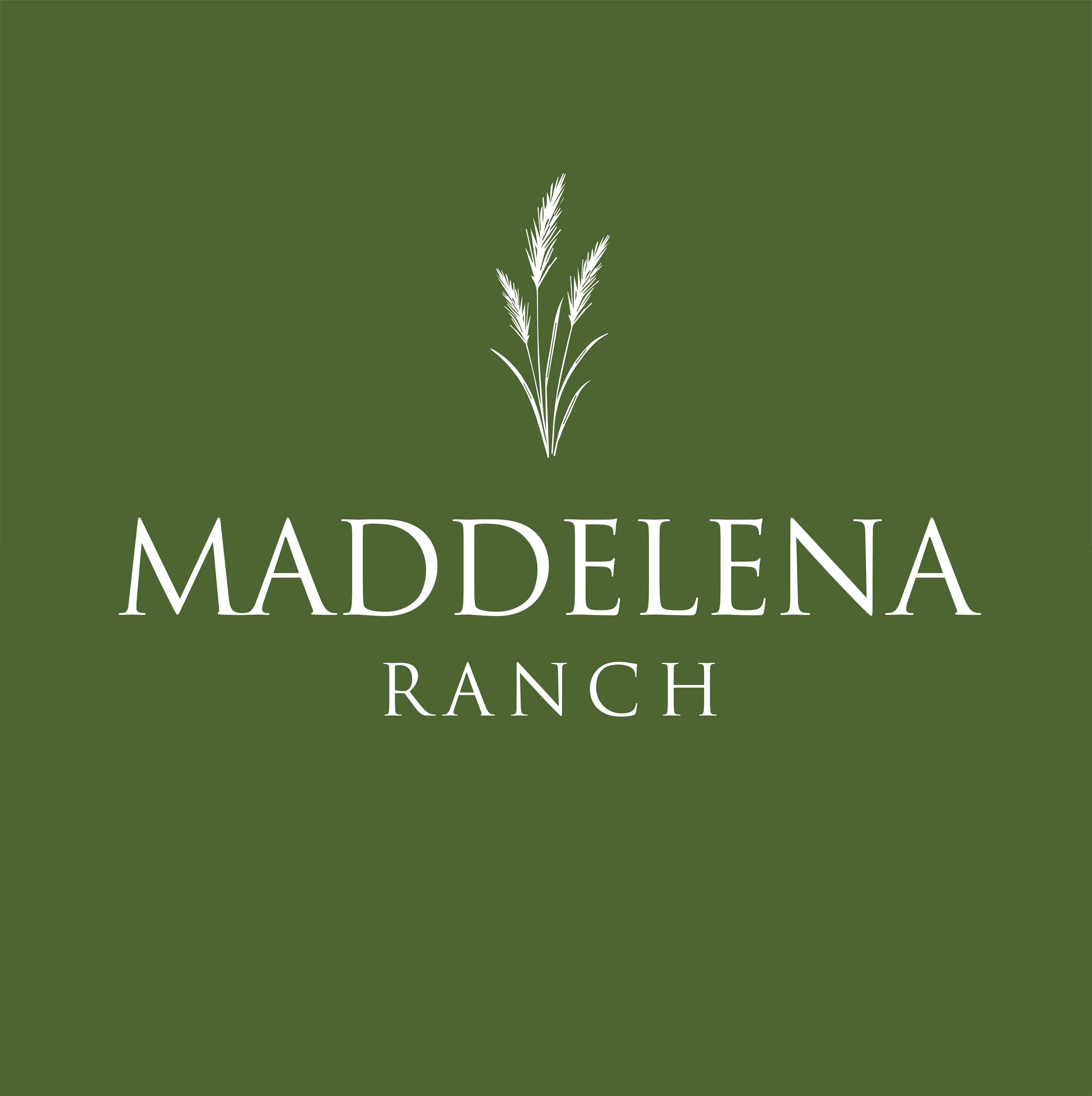 Logo Design by Tataaa for this project | Design #36453486