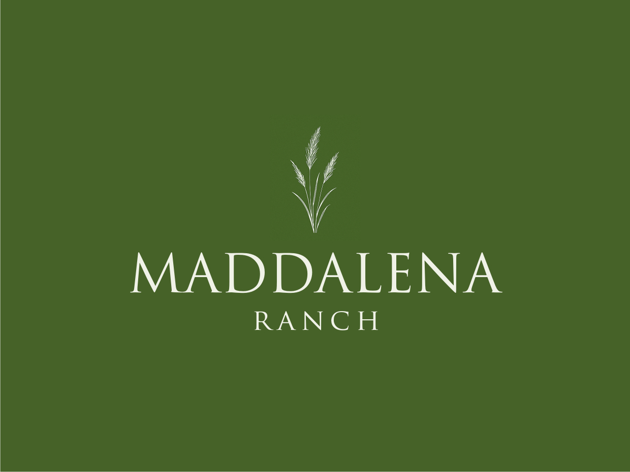 Logo Design by Atvento Graphics for this project | Design #36451688