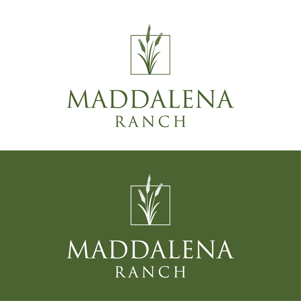 Logo Design by lilia00 for this project | Design #36483948