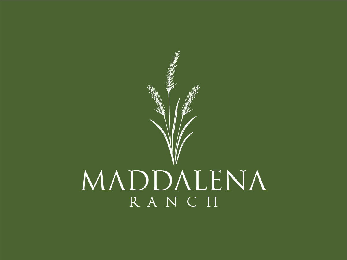 Logo Design by Owltive for this project | Design #36447607