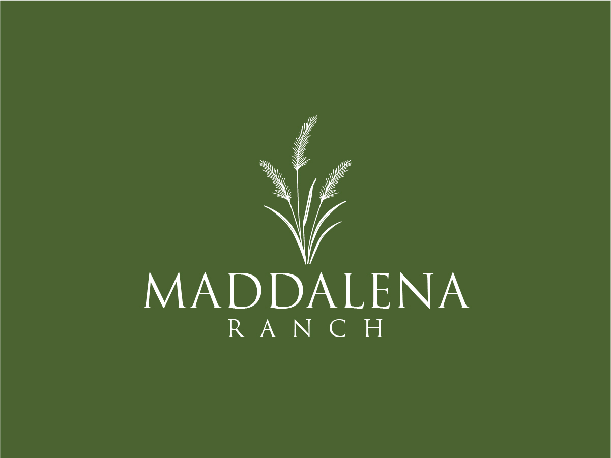 Logo Design by Owltive for this project | Design #36447608