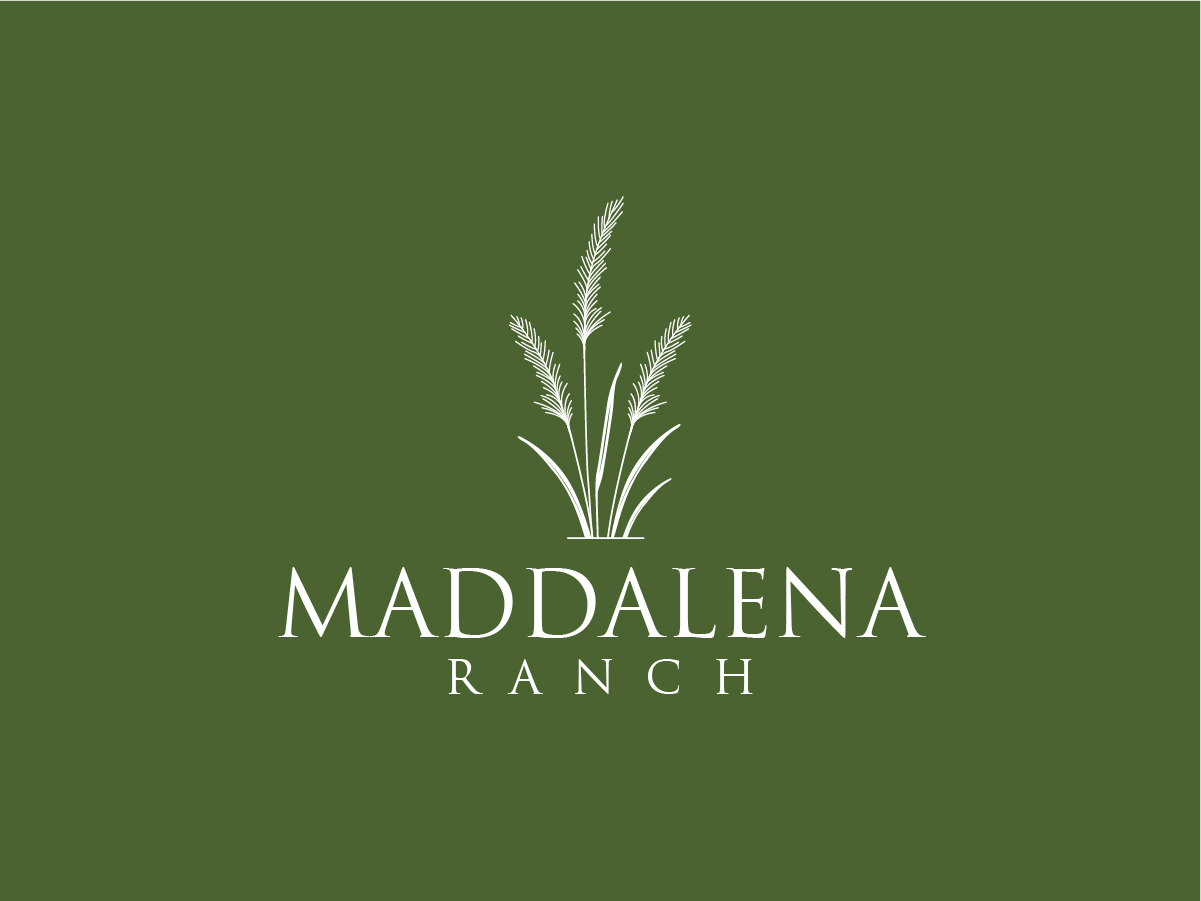 Logo Design by Owltive for this project | Design #36447609