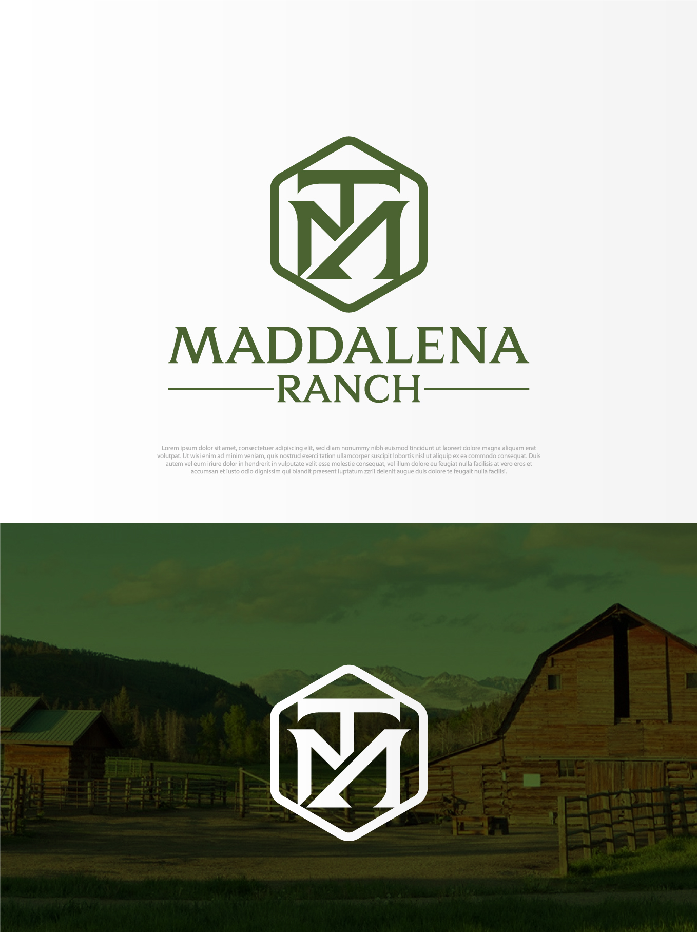 Logo Design by aexoagency for this project | Design #36447778