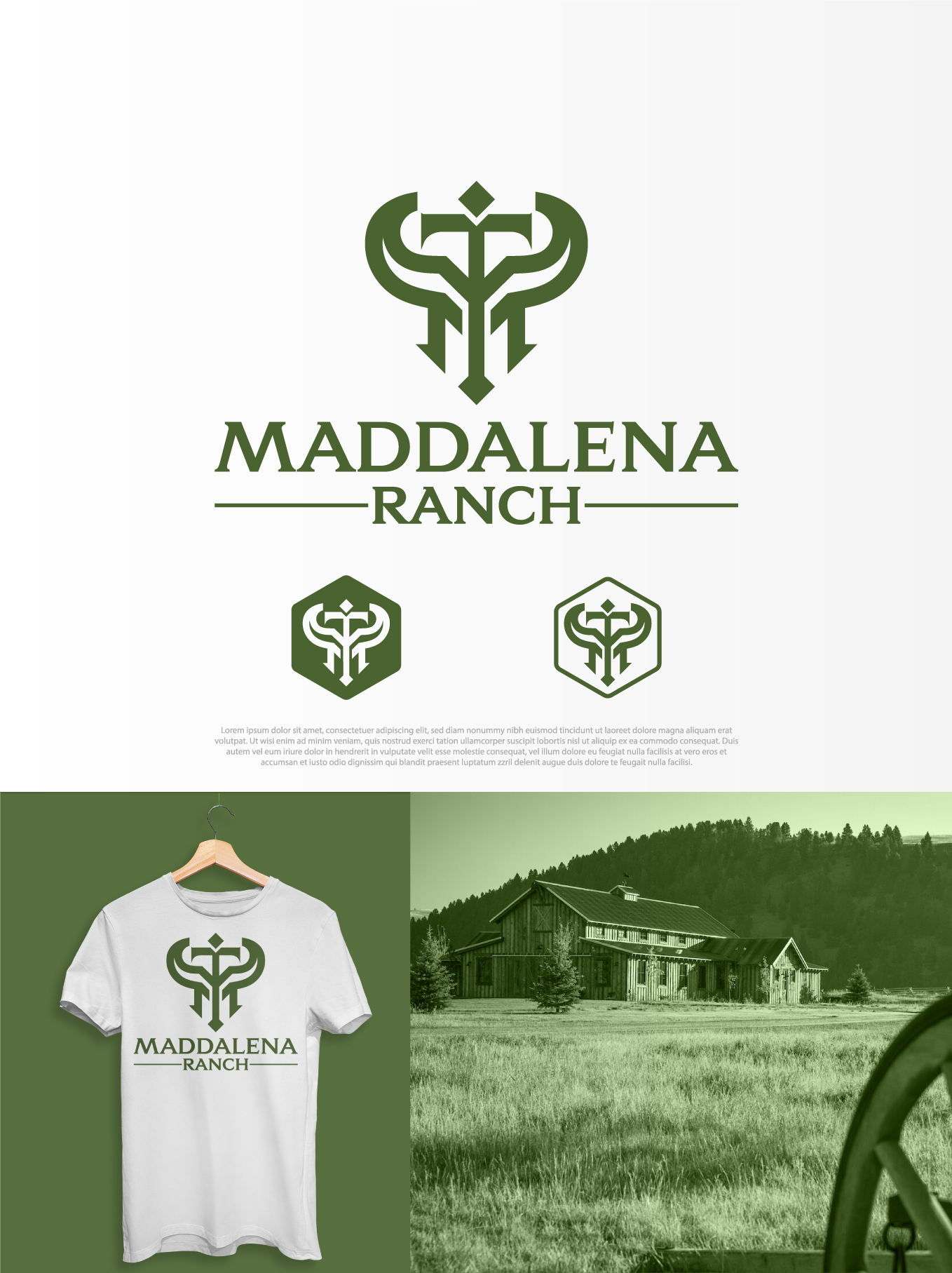 Logo Design by aexoagency for this project | Design #36448015