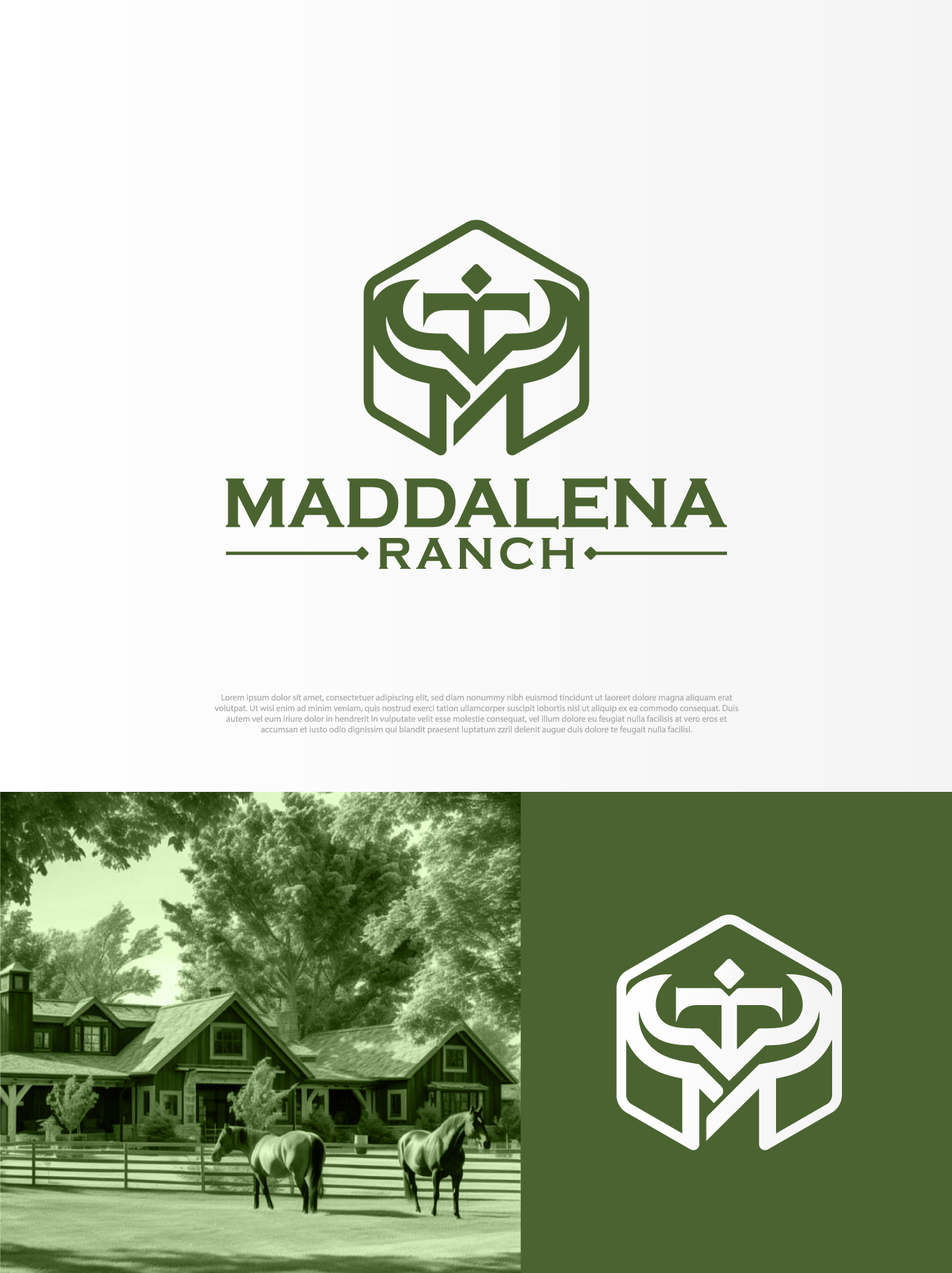 Logo Design by aexoagency for this project | Design #36448142