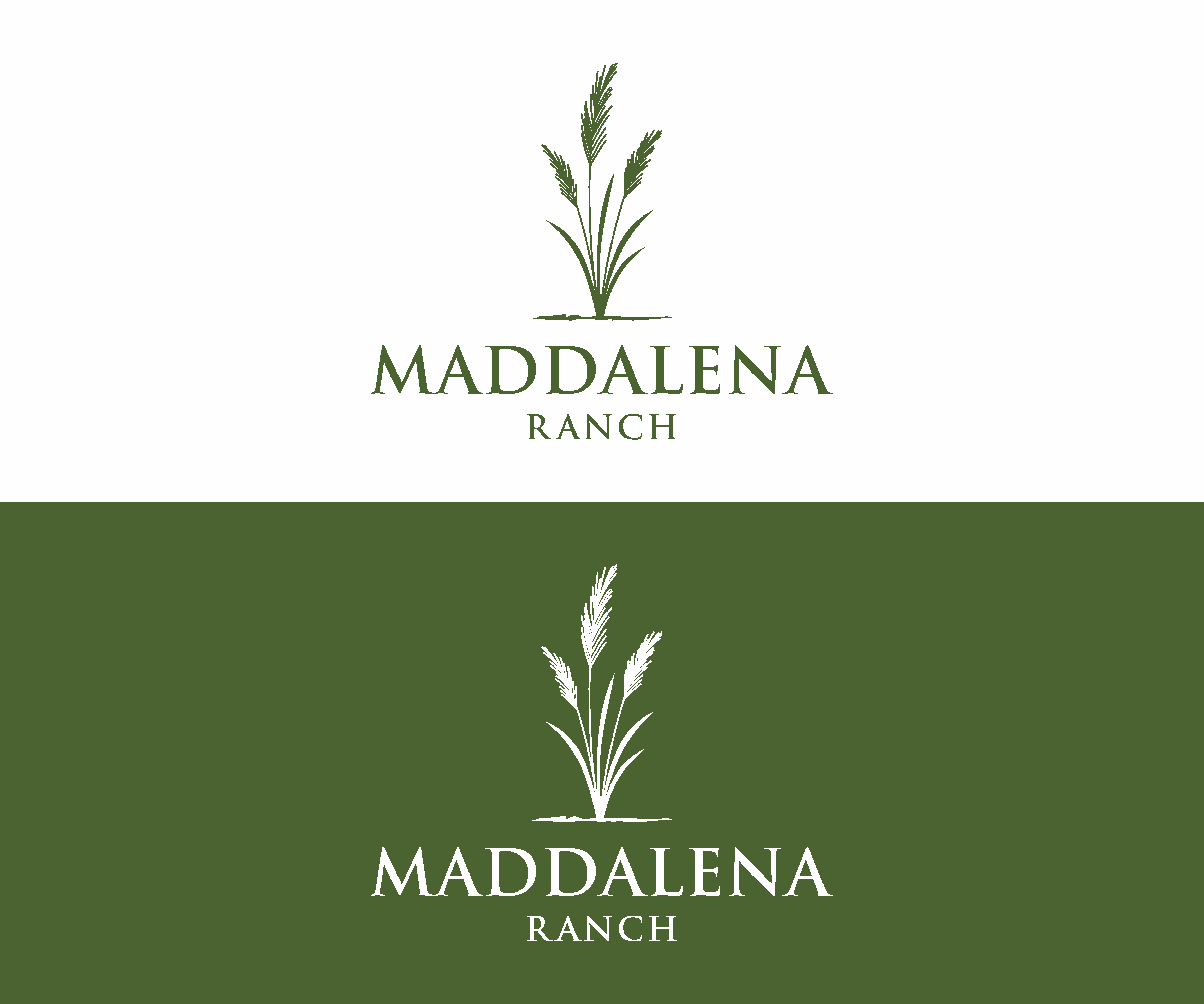 Logo Design by MBARO for this project | Design #36496909