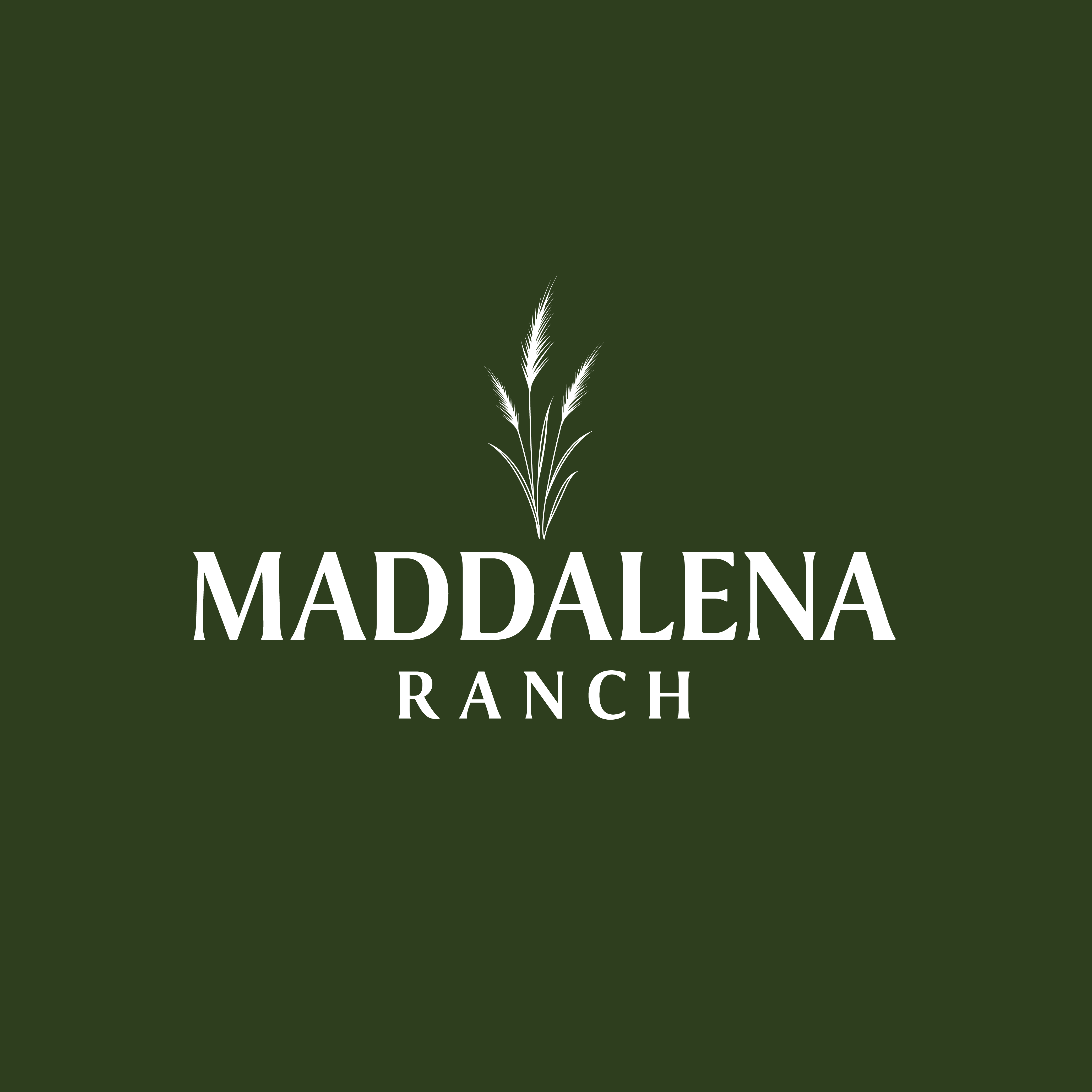 Logo Design by ares_h1 for this project | Design #36452726