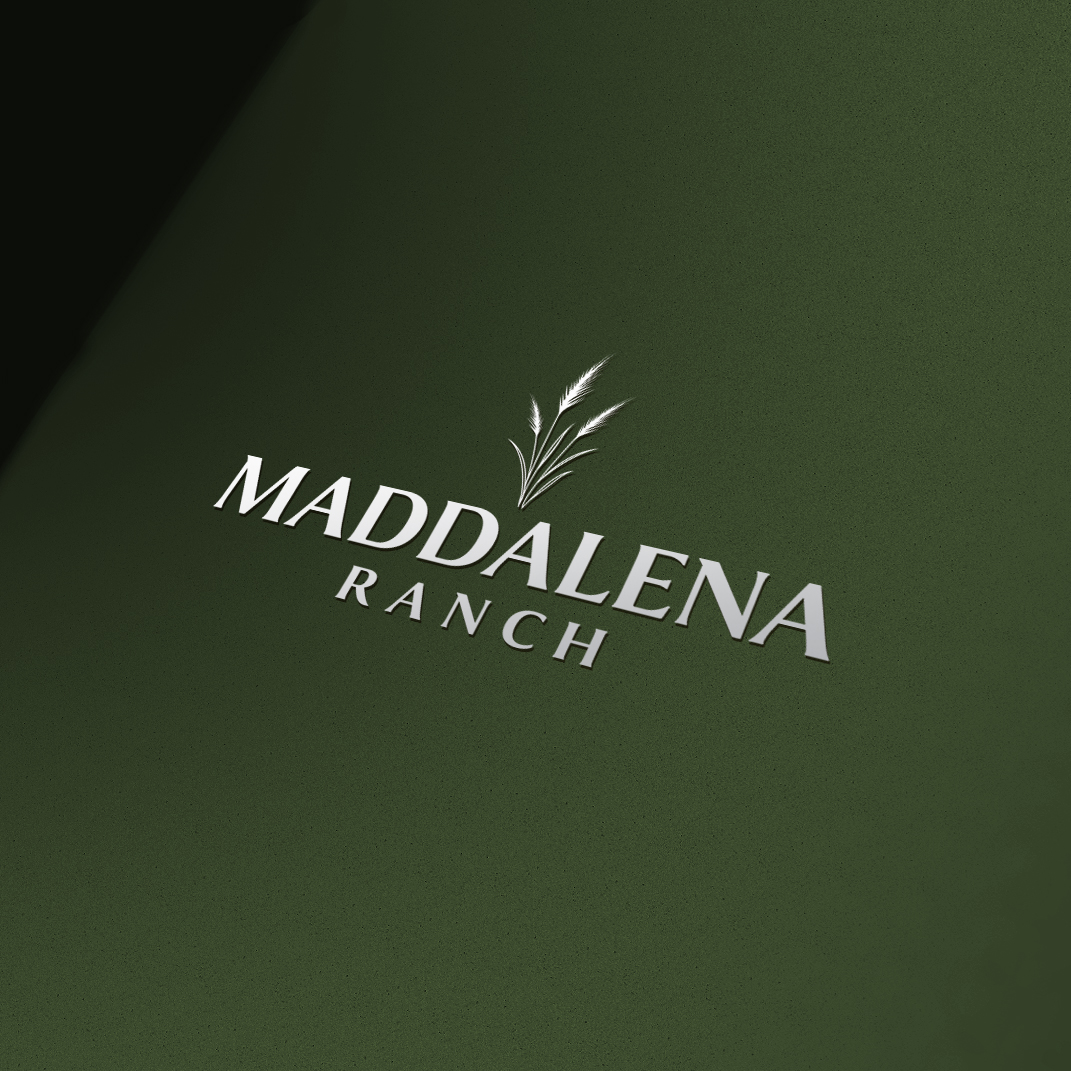 Logo Design by ares_h1 for this project | Design #36452727