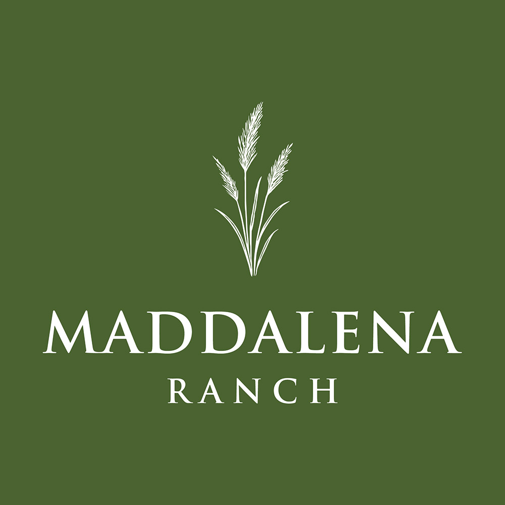 Logo Design by handart for this project | Design #36486526