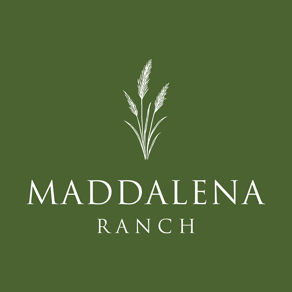 Logo Design by handart for this project | Design #36486528