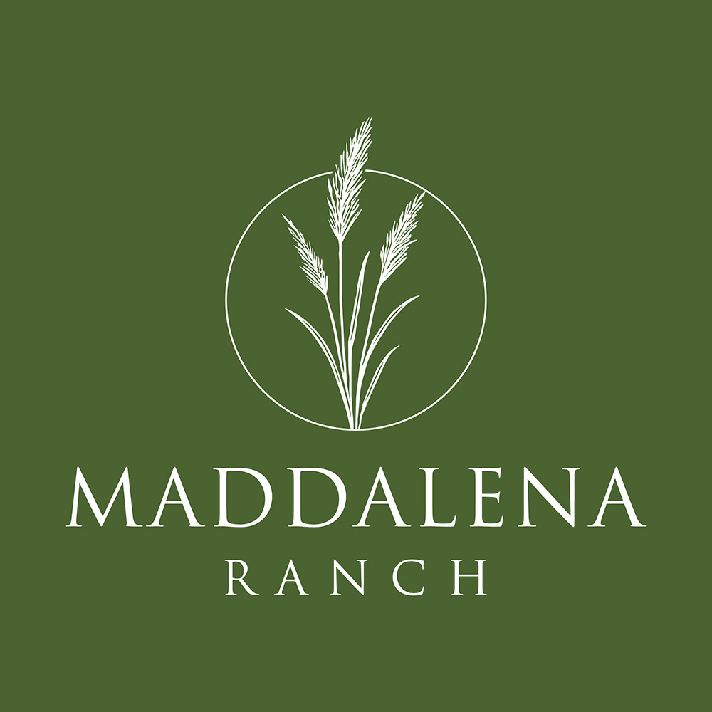 Logo Design by handart for this project | Design #36486531