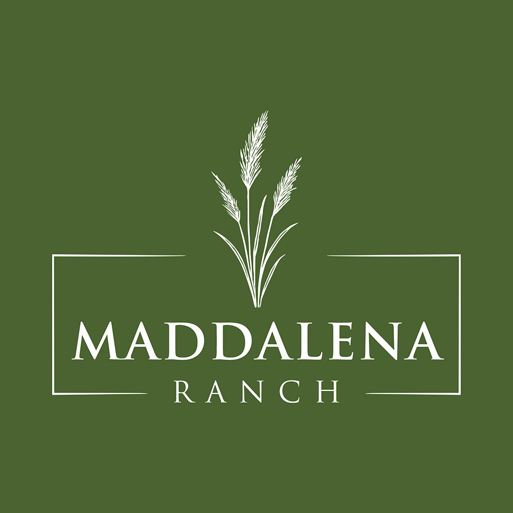 Logo Design by handart for this project | Design #36486535