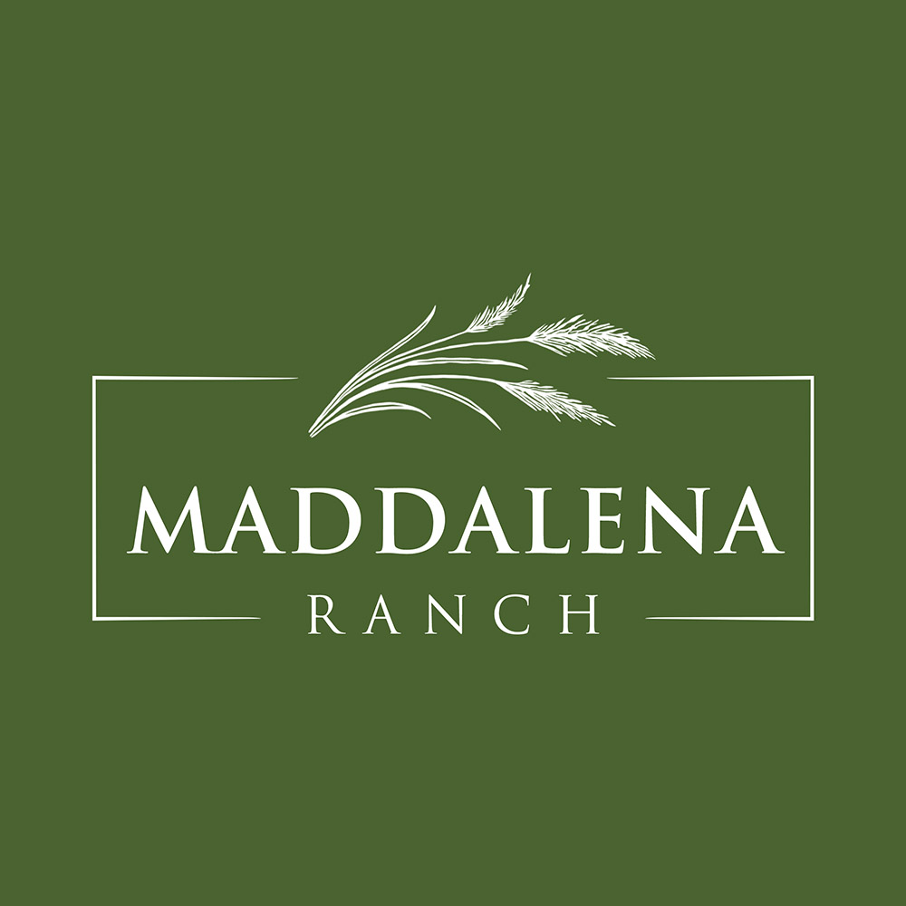 Logo Design by handart for this project | Design #36486539