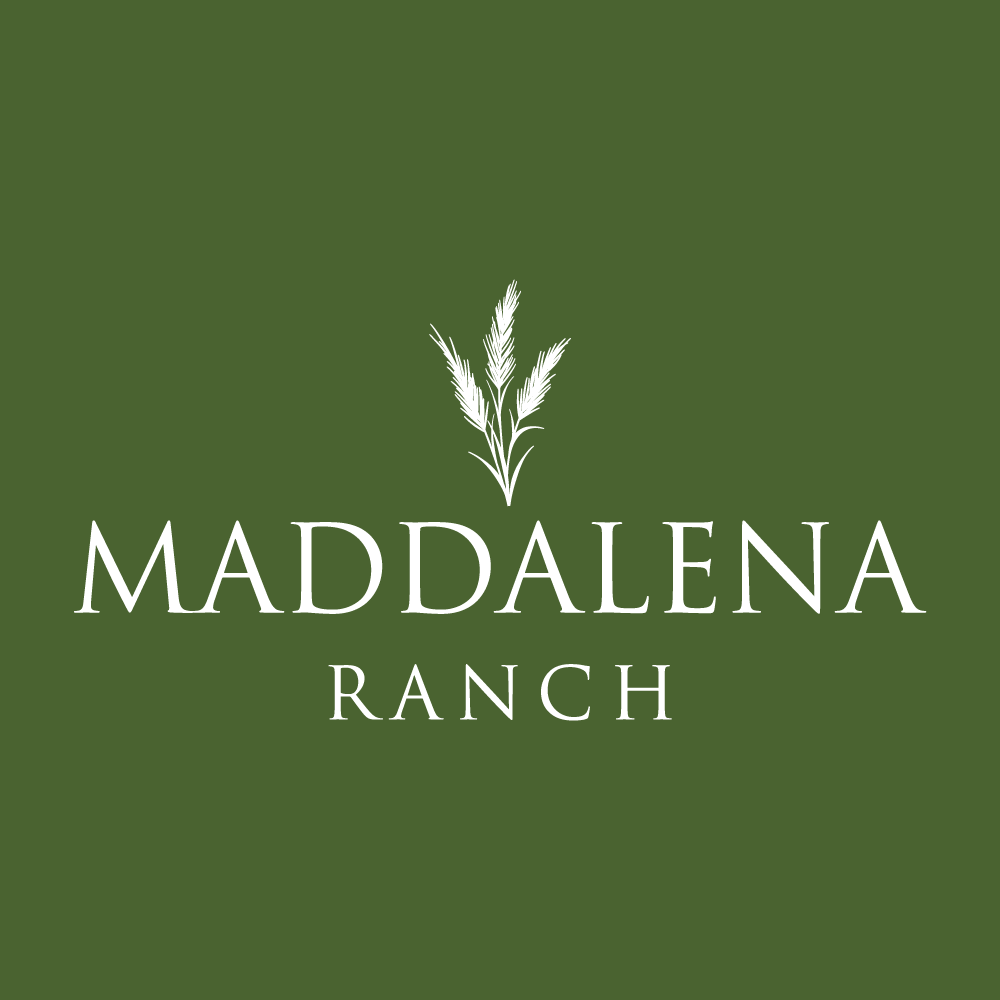 Logo Design by howi for this project | Design #36449839