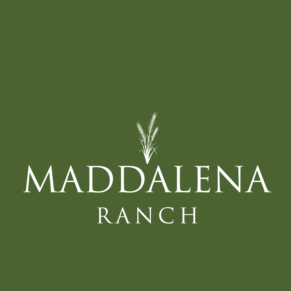 Logo Design by howi for this project | Design #36450431