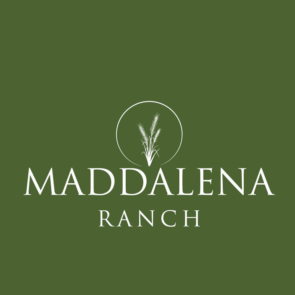 Logo Design by howi for this project | Design #36450435