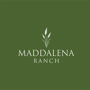 Logo Design by junior pxl design