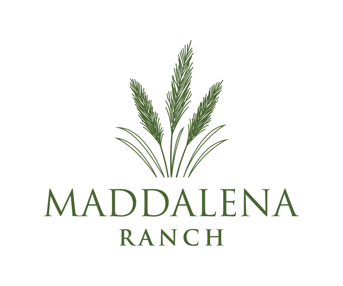 Logo Design by UN for this project | Design #36448327