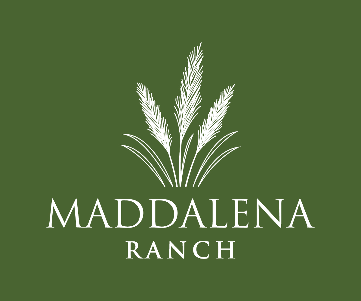 Logo Design by UN for this project | Design #36448364