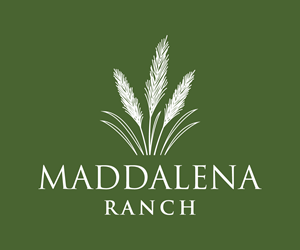 Logo Design by UN for this project | Design: #36448364