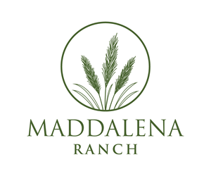 Logo Design by UN for this project | Design: #36448396