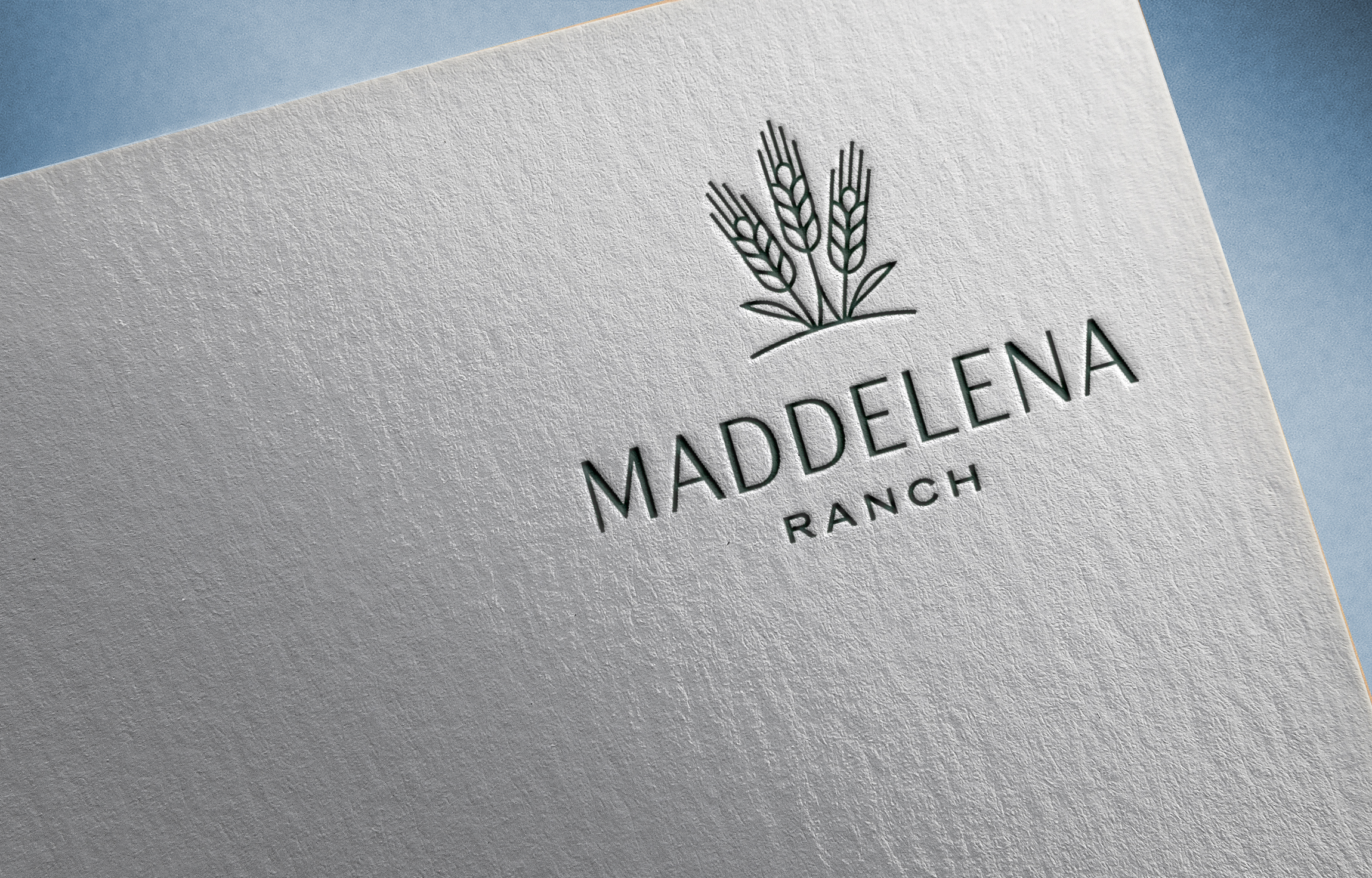 Logo Design by Feni:) for this project | Design #36456933