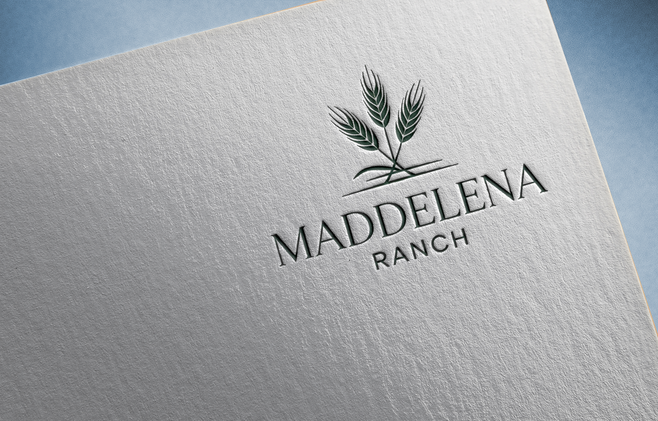 Logo Design by Feni:) for this project | Design #36456934