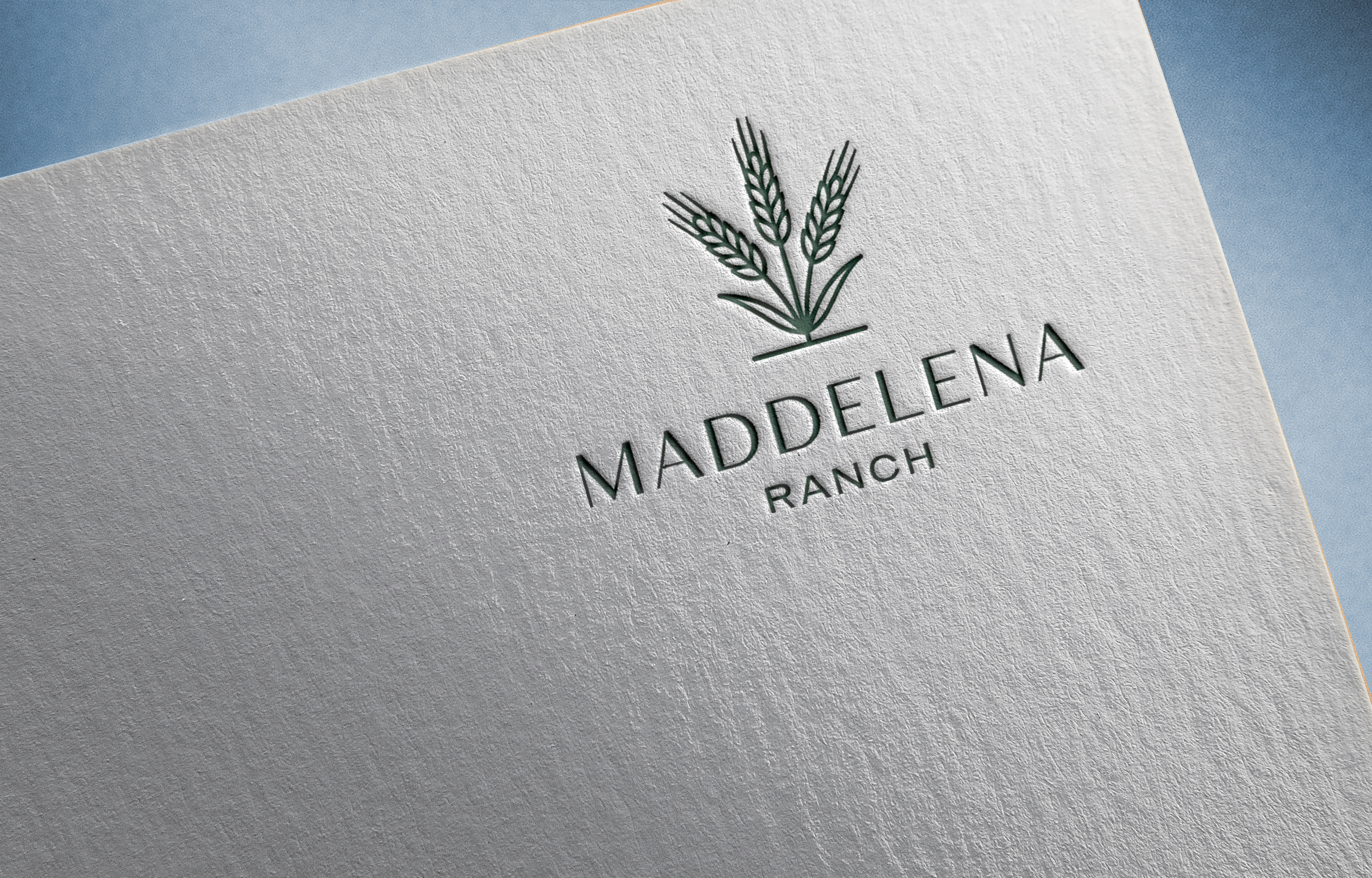 Logo Design by Feni:) for this project | Design #36456936